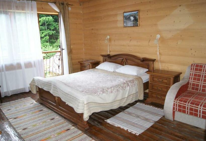 اتاق استاندارد, Dykyi Med