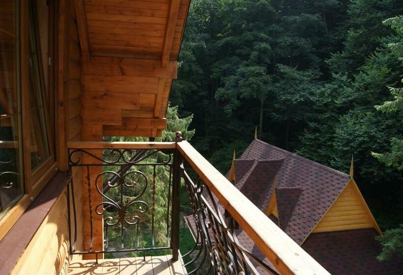 اتاق استاندارد, Dykyi Med