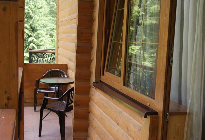 سوئیت جونیور با چشمانداز کوهستان, Dykyi Med