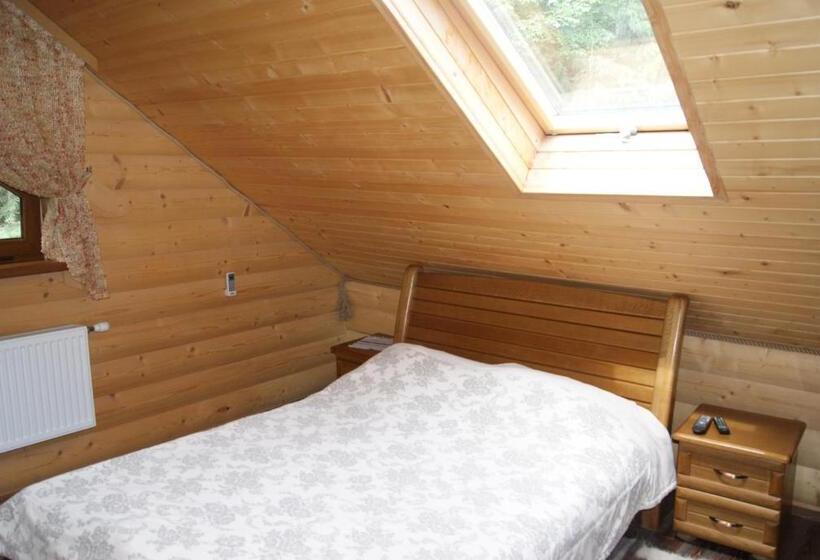 اتاق عادی, Dykyi Med