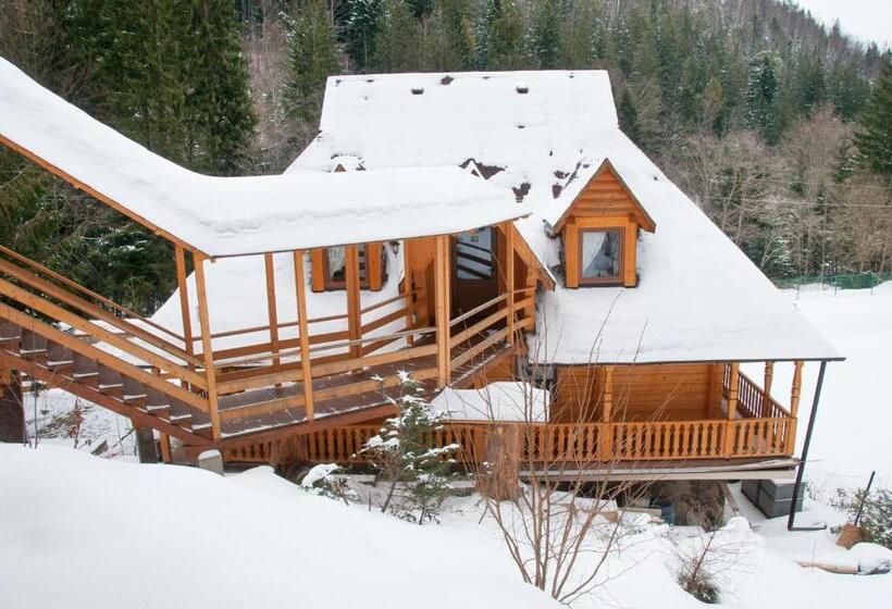 اتاق اکونومی, Dykyi Med