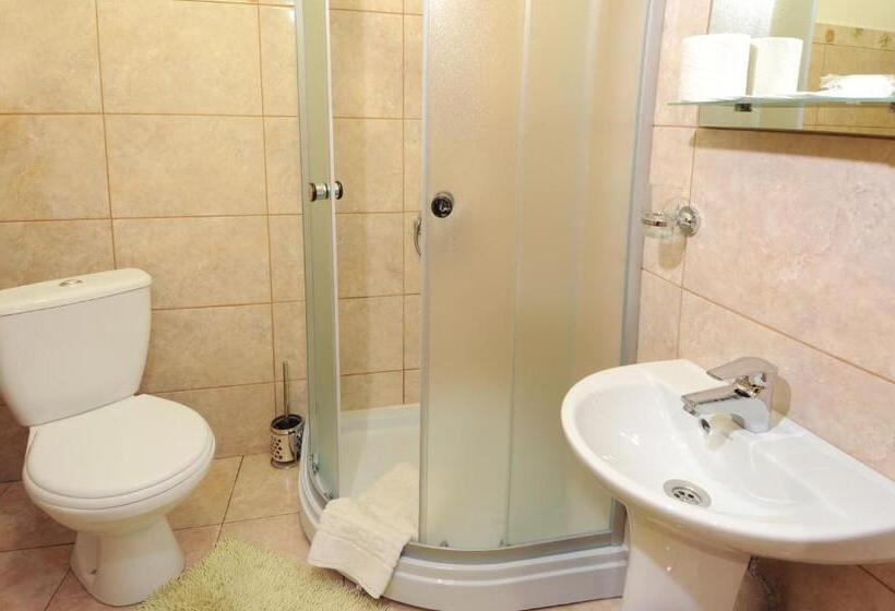 اتاق اکونومی, Dykyi Med