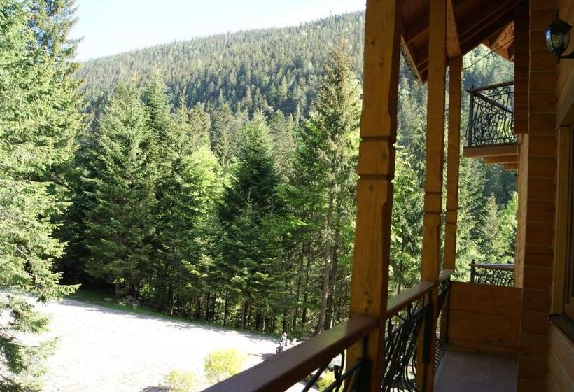 سوئیت جونیور با چشمانداز کوهستان, Dykyi Med