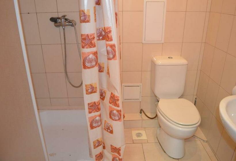 اتاق استاندارد یک نفره, Predslava