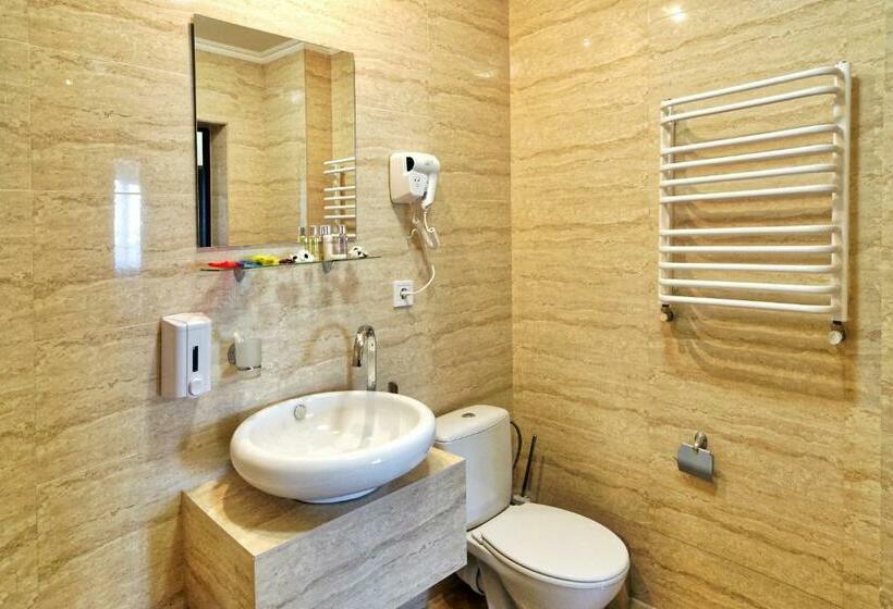 클래식 룸, Lisova Pisnia Resort