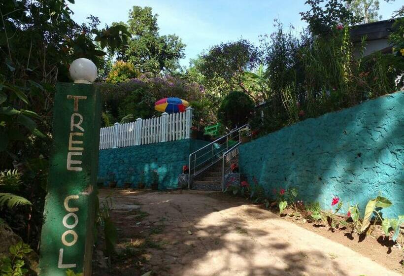 デラックスファミリールーム, Tree Cool Resort