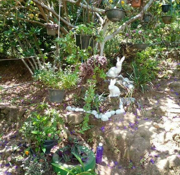 デラックスファミリールーム, Tree Cool Resort