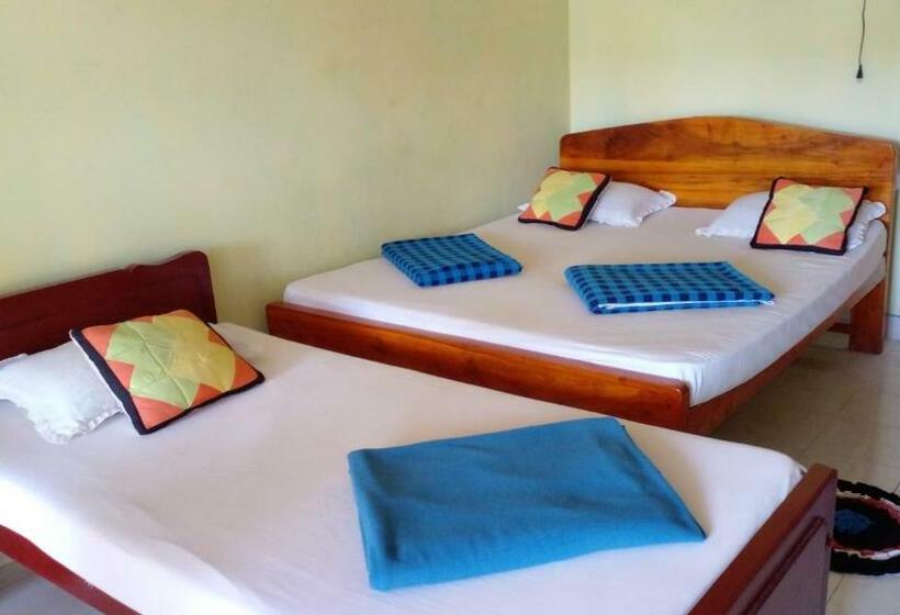 デラックスファミリールーム, Tree Cool Resort