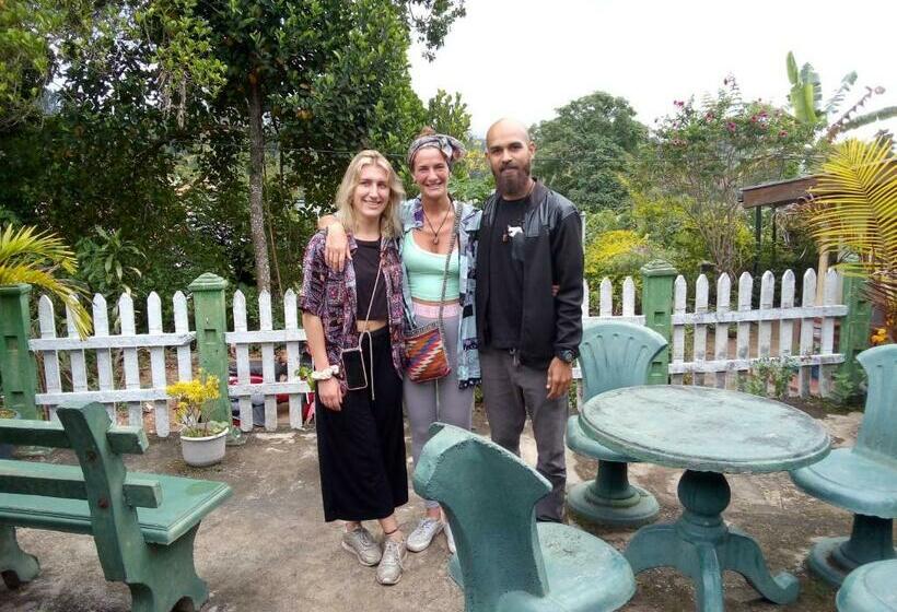 デラックスファミリールーム, Tree Cool Resort