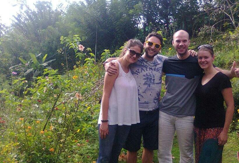 デラックスファミリールーム, Tree Cool Resort