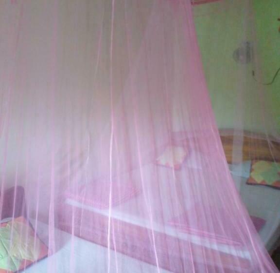 デラックスファミリールーム, Tree Cool Resort