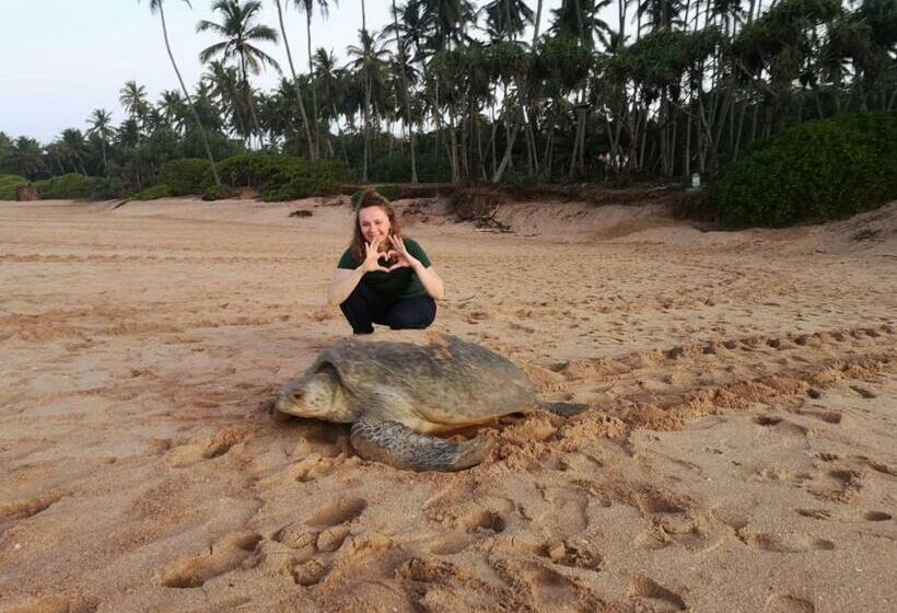 Chambre Standard, All View Resort
