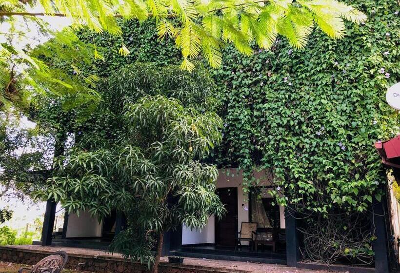 스탠다드 룸 킹사이즈 침대, Dambulla Rock Arch