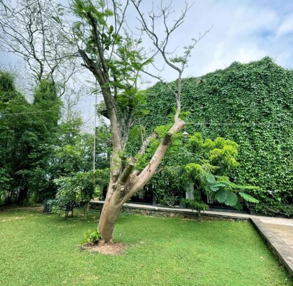 스탠다드 룸 킹사이즈 침대, Dambulla Rock Arch