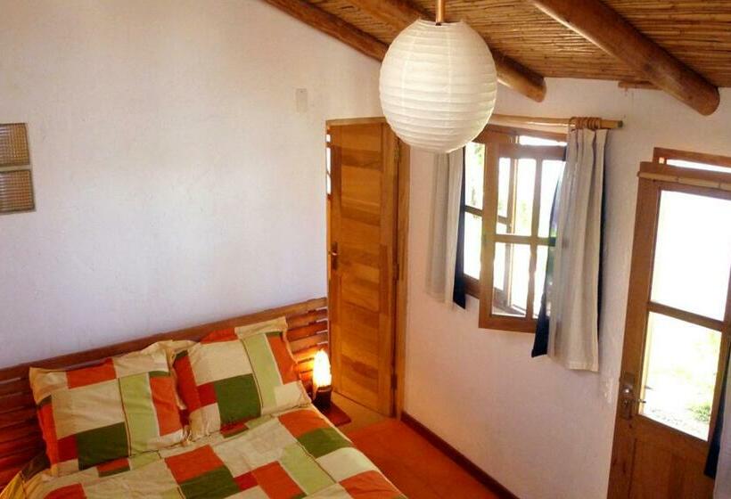 اتاق استاندارد, La Selenita