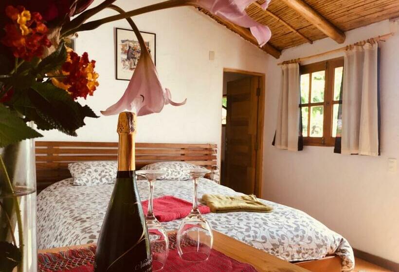 اتاق استاندارد, La Selenita