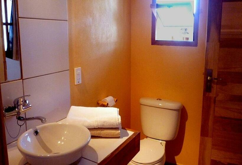 اتاق استاندارد, La Selenita