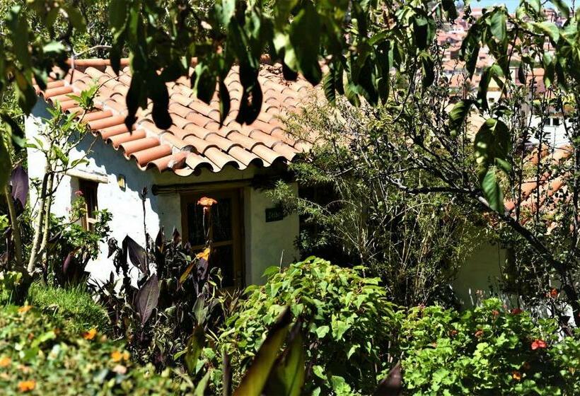 اتاق استاندارد, La Selenita