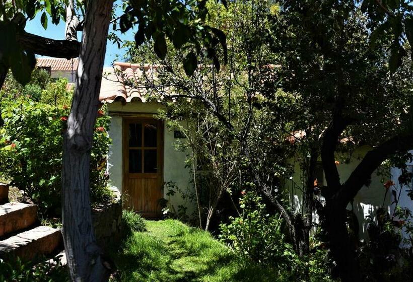 اتاق استاندارد, La Selenita