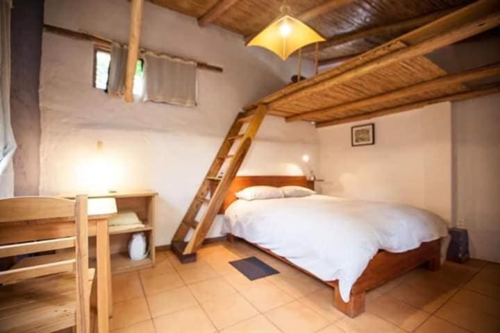 اتاق استاندارد, La Selenita