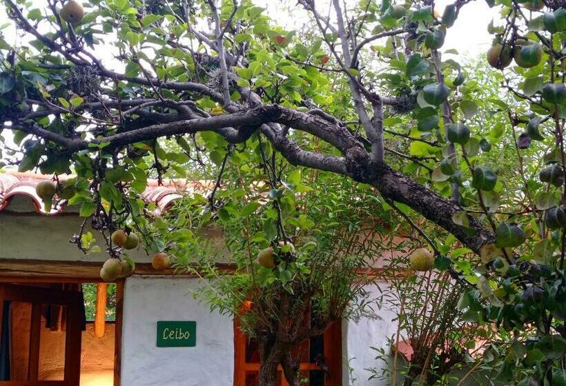 اتاق استاندارد, La Selenita