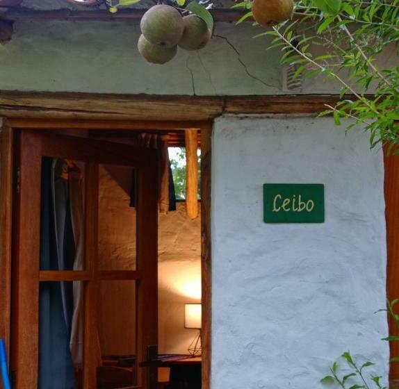 اتاق استاندارد, La Selenita