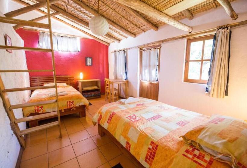 اتاق استاندارد, La Selenita