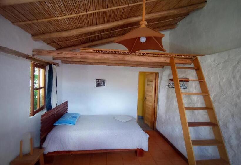 اتاق استاندارد, La Selenita