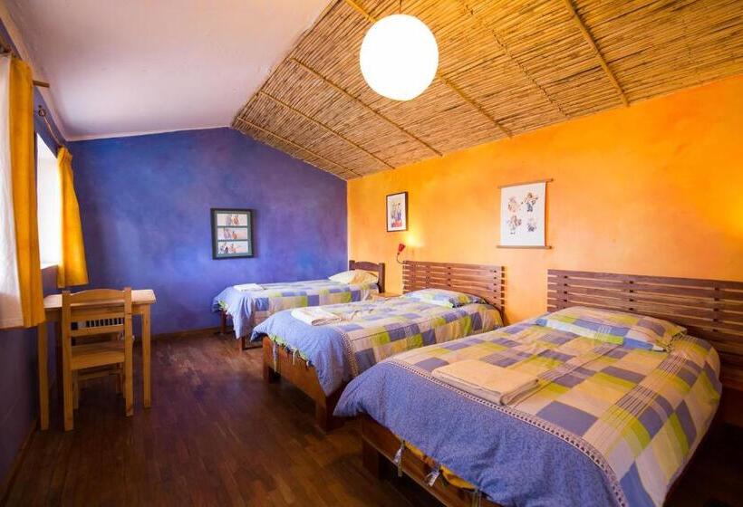 اتاق استاندارد چهار تخته, La Selenita