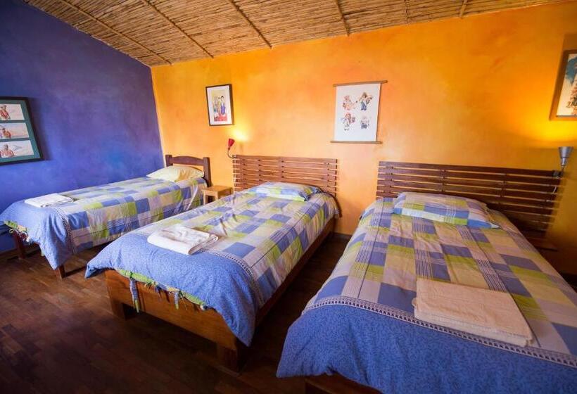 اتاق استاندارد چهار تخته, La Selenita