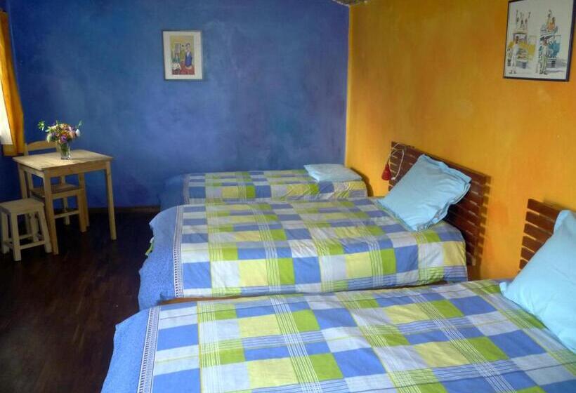 اتاق استاندارد چهار تخته, La Selenita