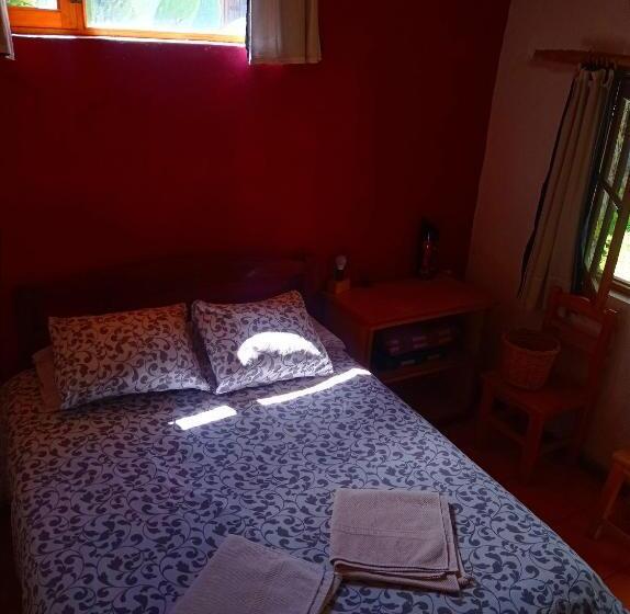 اتاق استاندارد, La Selenita