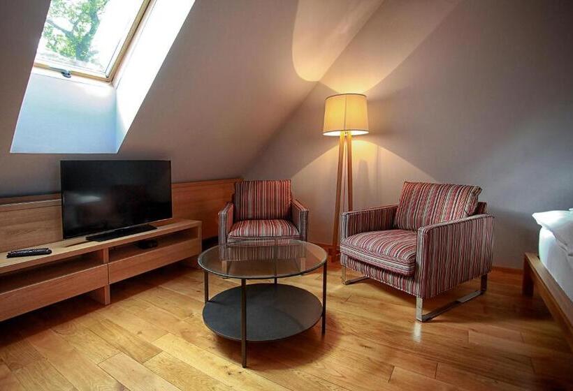 ペントハウスルーム, Penzion Dobré časy