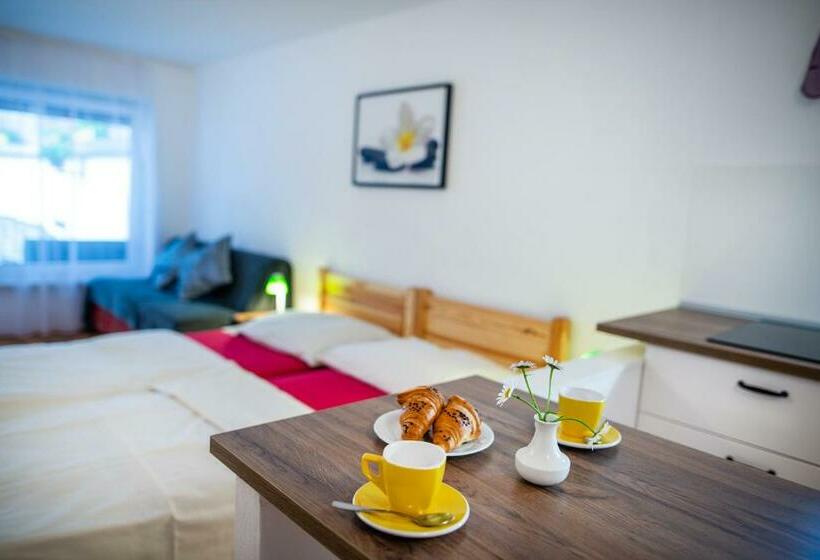 إستوديو قياسى, Penzion Mašek