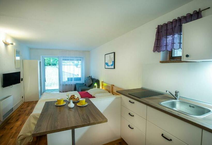 إستوديو قياسى, Penzion Mašek