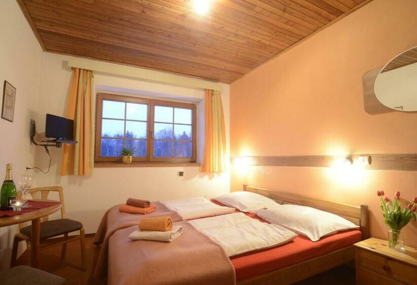 غرفة قياسية, Penzion Mašek