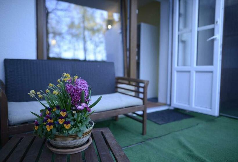 إستوديو قياسى, Penzion Mašek