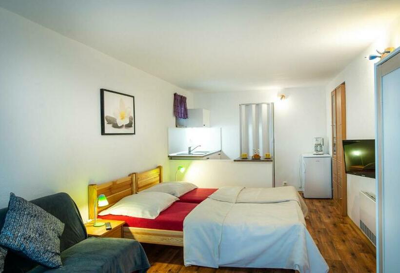 إستوديو قياسى, Penzion Mašek