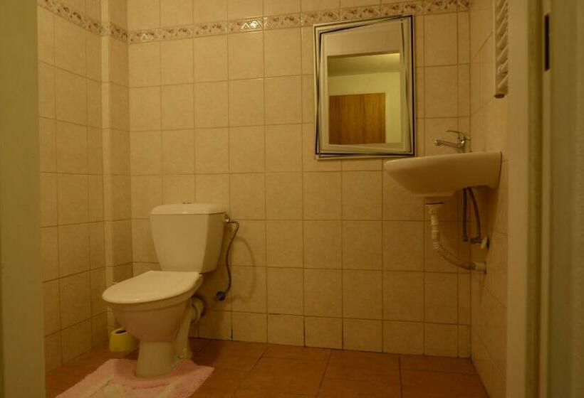 إستوديو قياسى, Penzion Mašek