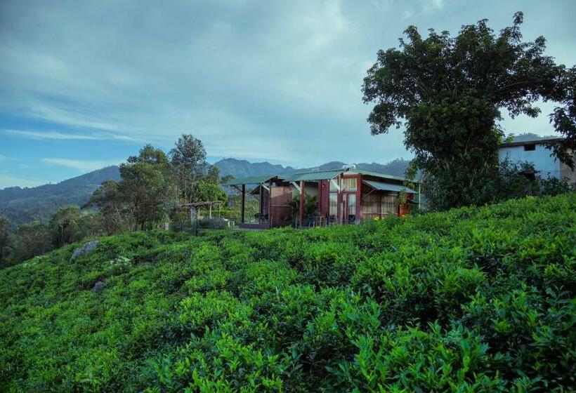 شاليه غرفة نوم واحدة, Cool Mount Resort