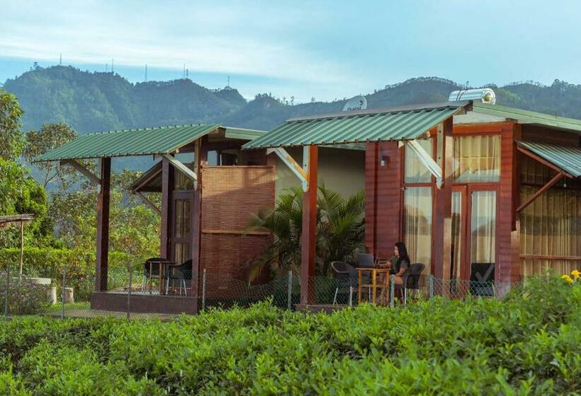 شاليه غرفة نوم واحدة, Cool Mount Resort