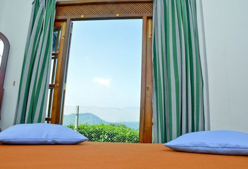 标准间, Cool Mount Resort