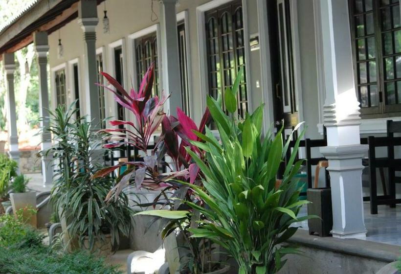 Номер Стандарт Индивидуальный, A4 Villa & Spa