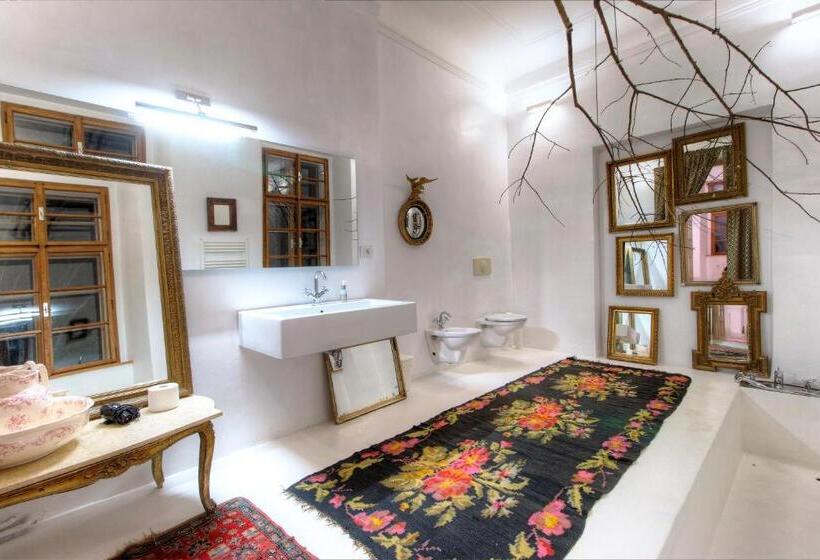 חדר דלוקס עם מיטת קינג, Chateau Třebešice