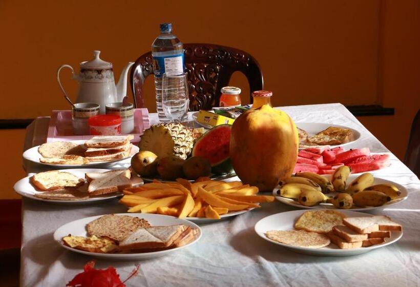 Basis Zimmer, Dilara Resort Mirissa