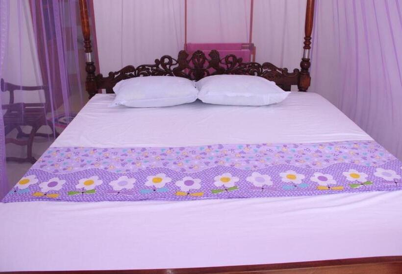 Basis Zimmer, Dilara Resort Mirissa