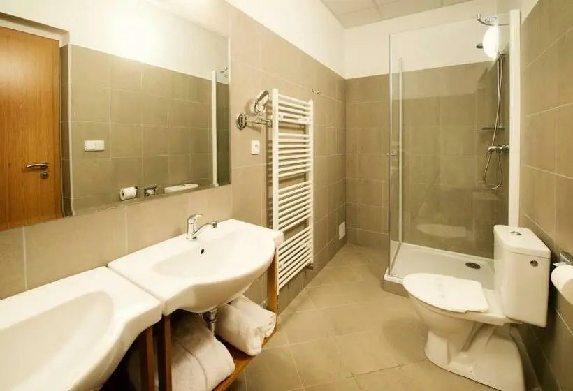 Standard Yhden Hengen Huone, Farma