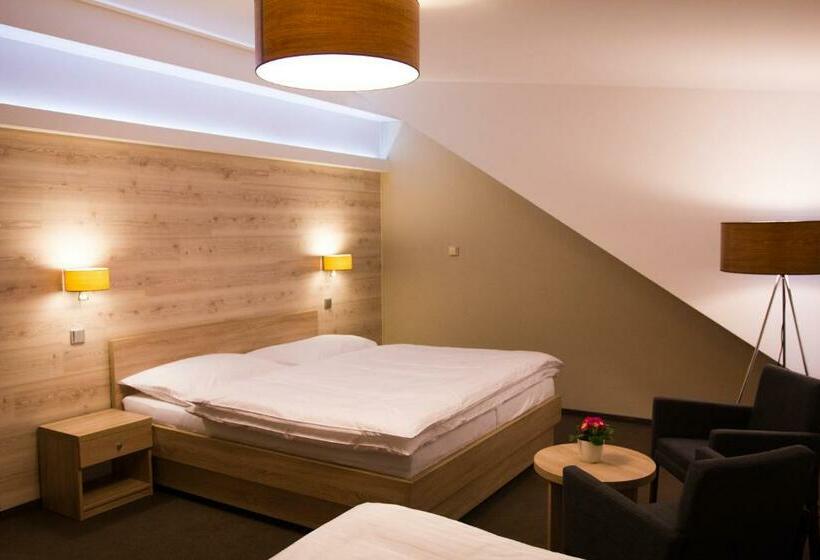 חדר סטנדרט, Freud