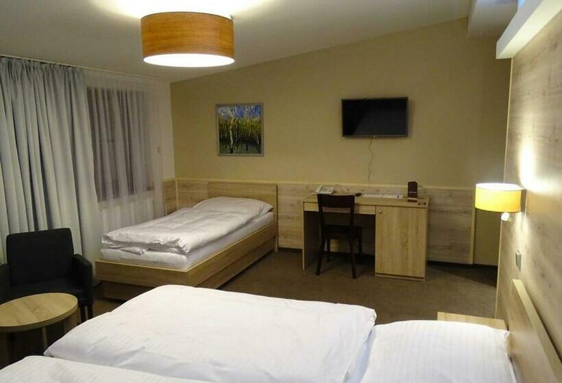 חדר סטנדרט לשלושה, Freud