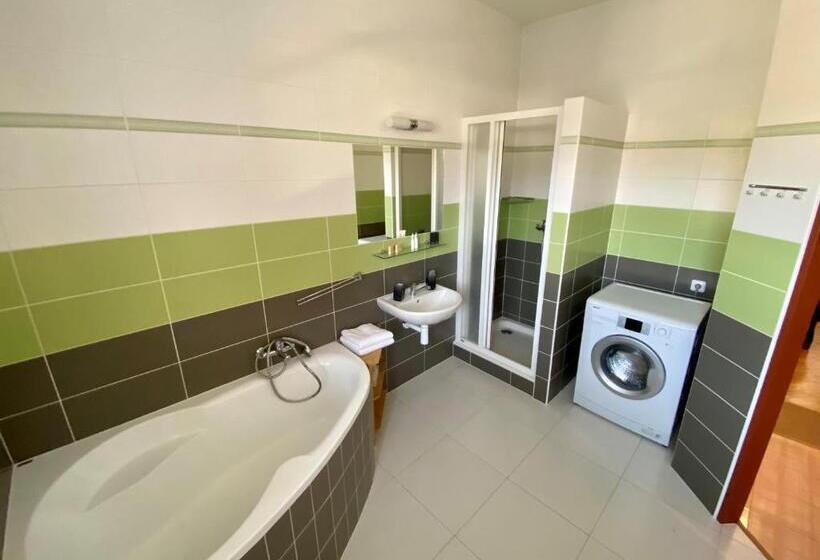 דירת חדר, Freud